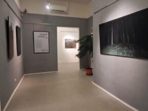 TOMÁŠ HONZ - SÁM V LESE