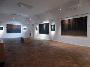 TOMÁŠ HONZ - SÁM V LESE