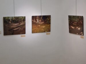 TOMÁŠ HONZ - SÁM V LESE