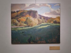 TOMÁŠ HONZ - SÁM V LESE