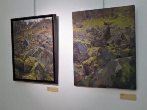 TOMÁŠ HONZ - SÁM V LESE