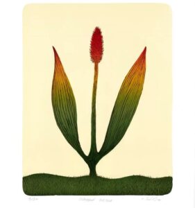 KLÁRA SEDLO: Brána do snů