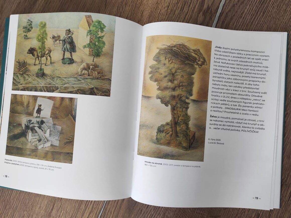 Miroslava Zychová - Mock Turtle /Želví polévka/ - Obrázek 4