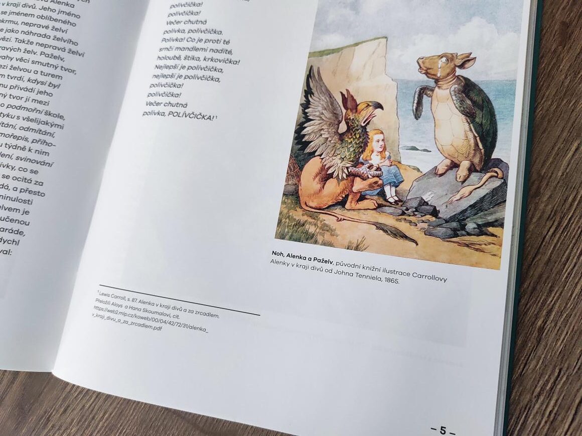 Miroslava Zychová - Mock Turtle /Želví polévka/ - Obrázek 5